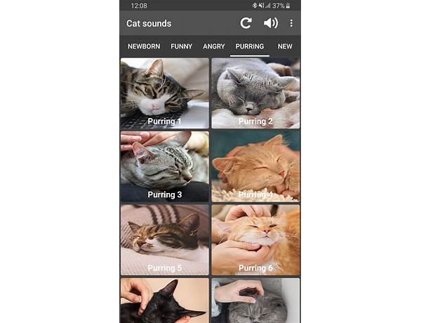 Meow for Android - Download the APK from Habererciyes